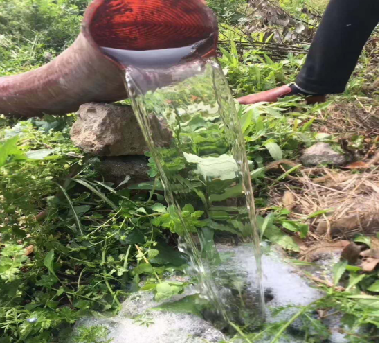 3308白綠吸污凈化車(chē)藍牌